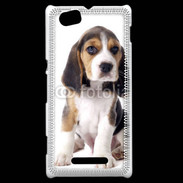 Coque Sony Xperia M Chiot Beagle 50