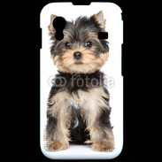 Coque Samsung ACE S5830 Chiot Yorkshire terrier 25