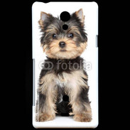 Coque Sony Xperia T Chiot Yorkshire terrier 25