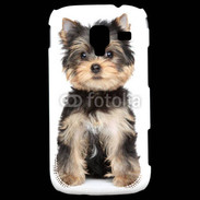 Coque Samsung Galaxy Ace 2 Chiot Yorkshire terrier 25