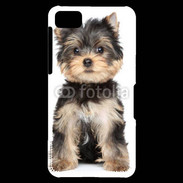 Coque Blackberry Z10 Chiot Yorkshire terrier 25