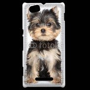 Coque Sony Xperia M Chiot Yorkshire terrier 25