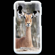 Coque Samsung ACE S5830 Portrait Impala