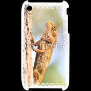 Coque iPhone 3G / 3GS Portrait d'un lézard
