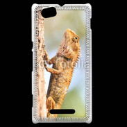 Coque Sony Xperia M Portrait d'un lézard