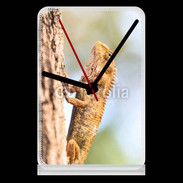 Pendule de bureau Portrait d'un lézard
