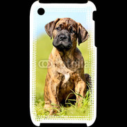 Coque iPhone 3G / 3GS Portrait d'un mastiff