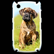 Coque Blackberry 8520 Portrait d'un mastiff