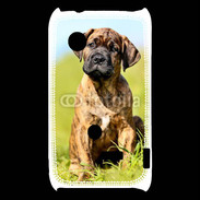 Coque Sony Xperia Typo Portrait d'un mastiff