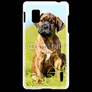 Coque LG Optimus G Portrait d'un mastiff