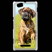 Coque Sony Xperia M Portrait d'un mastiff