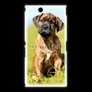 Coque Sony Xpéria Z Ultra Portrait d'un mastiff