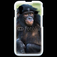 Coque Samsung ACE S5830 Portrait d'un Bonobo