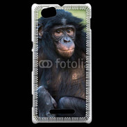 Coque Sony Xperia M Portrait d'un Bonobo