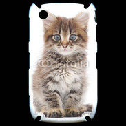 Coque Blackberry 8520 Portrait d'un chaton 75