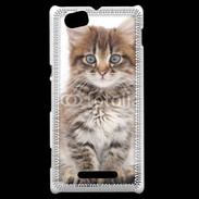 Coque Sony Xperia M Portrait d'un chaton 75