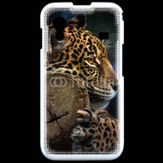 Coque Samsung ACE S5830 Portrait d'un jaguar