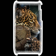 Coque iPhone 3G / 3GS Portrait d'un jaguar