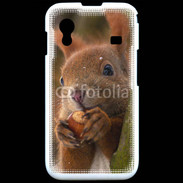 Coque Samsung ACE S5830 Portrait d'un écureuil avec une noisette