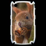 Coque Blackberry 8520 Portrait d'un écureuil avec une noisette