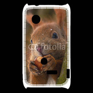 Coque Sony Xperia Typo Portrait d'un écureuil avec une noisette