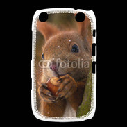 Coque Blackberry Curve 9320 Portrait d'un écureuil avec une noisette