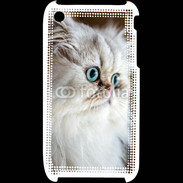 Coque iPhone 3G / 3GS Magnifique chat persan aux yeux bleus