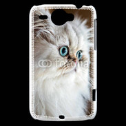 Coque HTC Wildfire G8 Magnifique chat persan aux yeux bleus