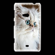 Coque Nokia Lumia 625 Magnifique chat persan aux yeux bleus