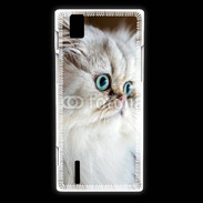 Coque Huawei Ascend P2 Magnifique chat persan aux yeux bleus
