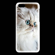 Coque iPhone 5C Magnifique chat persan aux yeux bleus