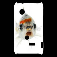 Coque Sony Xperia Typo Poisson Silver Koi de face