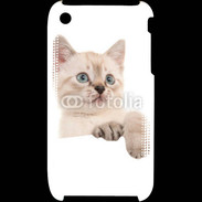 Coque iPhone 3G / 3GS Petit chaton en portrait