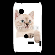 Coque Sony Xperia Typo Petit chaton en portrait
