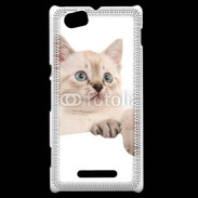 Coque Sony Xperia M Petit chaton en portrait