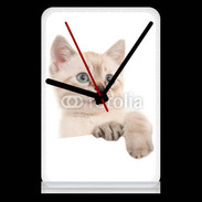 Pendule de bureau Petit chaton en portrait