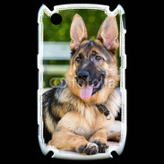 Coque Blackberry 8520 Portrait d'un berger allemand adulte
