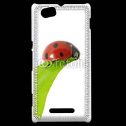 Coque Sony Xperia M Belle coccinelle 10