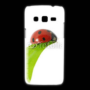 Coque Samsung Galaxy Express2 Belle coccinelle 10