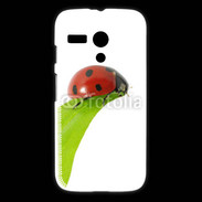 Coque Motorola G Belle coccinelle 10