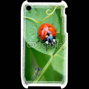 Coque iPhone 3G / 3GS Coccinelle sur une feuille