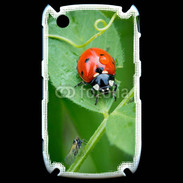 Coque Blackberry 8520 Coccinelle sur une feuille