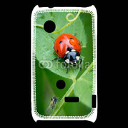 Coque Sony Xperia Typo Coccinelle sur une feuille