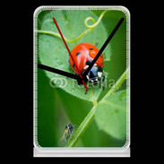 Pendule de bureau Coccinelle sur une feuille