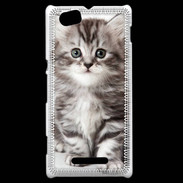 Coque Sony Xperia M Chaton gris 
