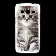 Coque Samsung Galaxy Express2 Chaton gris 