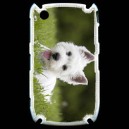 Coque Blackberry 8520 Chiot terrier blanc 2