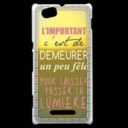 Coque Sony Xperia M Un peu félé ZG