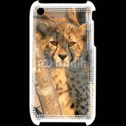 Coque iPhone 3G / 3GS Jeune félin