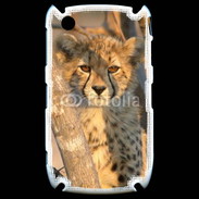 Coque Blackberry 8520 Jeune félin